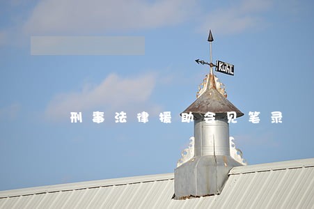 刑事法律援助会见笔录 刑事法律援助会见笔录
