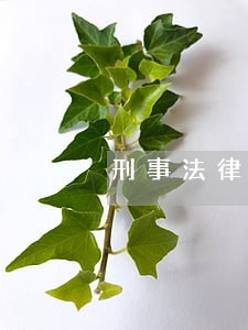 刑事法律援助工作会议上的讲话