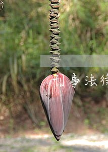 刑事法律援助开题报告 刑事法律援助开题报告
