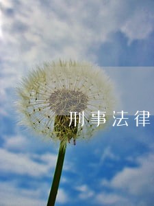 刑事法律援助律师判决书 刑事法律援助律师判决书