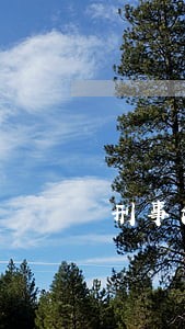 刑事法律援助无效辩护 刑事法律援助无效辩护