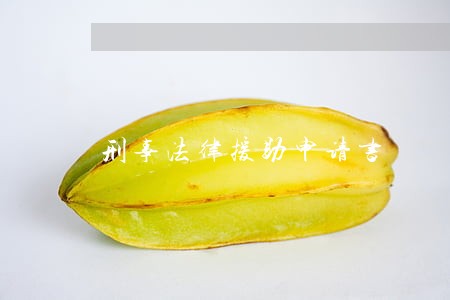 刑事法律援助申请书 刑事法律援助申请书