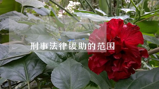 刑事法律援助的范围 刑事法律援助的范围