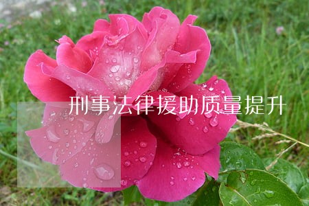 刑事法律援助质量提升 刑事法律援助质量提升