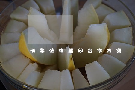 刑事法律顾问合作方案 刑事法律顾问合作方案