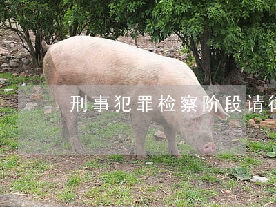 刑事犯罪检察阶段请律师有什么用 刑事犯罪检察阶段请律师有什么用