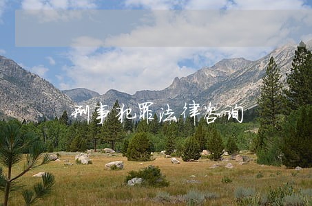 刑事犯罪法律咨询 刑事犯罪法律咨询