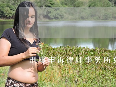 刑事申诉律师事务所免费咨询 刑事申诉律师事务所免费咨询