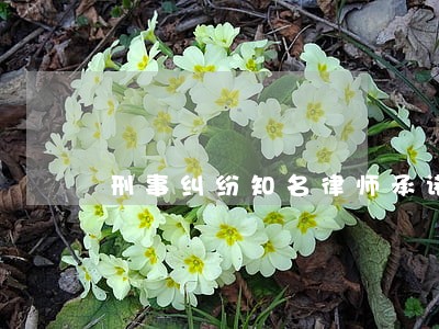 刑事纠纷知名律师承诺守信 刑事纠纷知名律师承诺守信