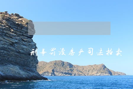 刑事罚没房产司法拍卖 刑事罚没房产司法拍卖