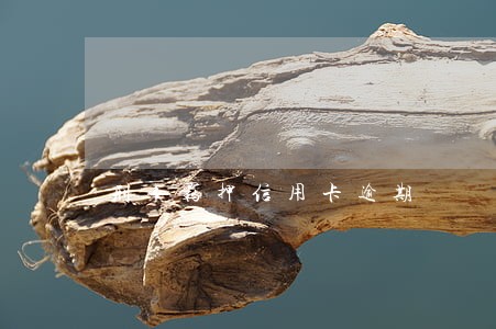 刑事羁押信用卡逾期