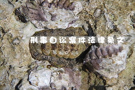 刑事自讼案件法律条文