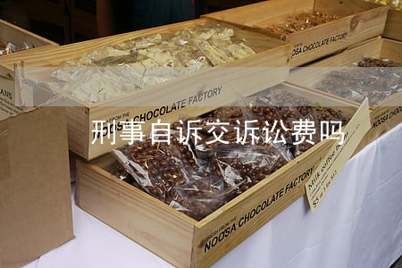 刑事自诉交诉讼费吗