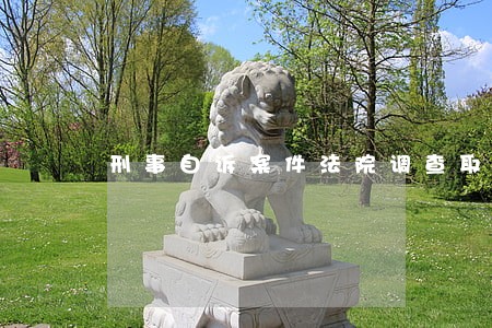 刑事自诉案件法院调查取证 刑事自诉案件法院调查取证