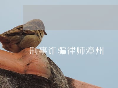 刑事诈骗律师漳州 刑事诈骗律师漳州