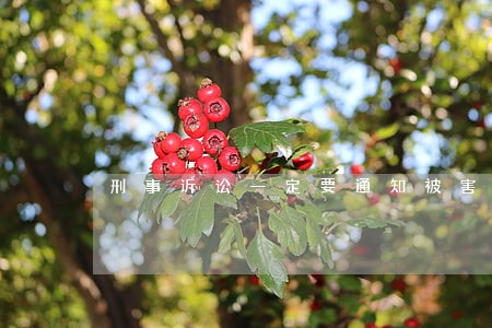 刑事诉讼一定要通知被害人吗 刑事诉讼一定要通知被害人吗