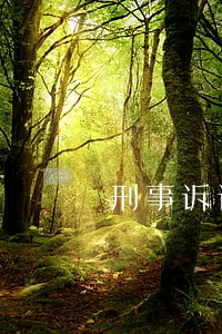 刑事诉讼中公检法的相互关系