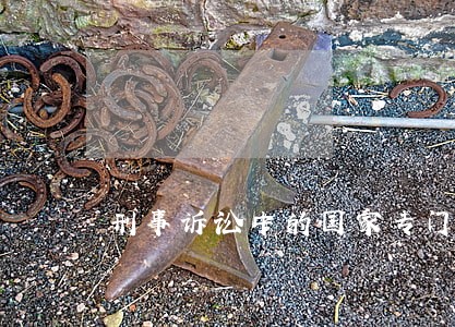 刑事诉讼中的国家专门机关 刑事诉讼中的国家专门机关