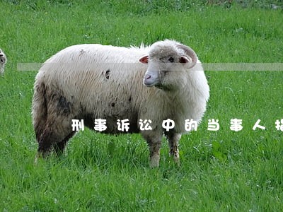 刑事诉讼中的当事人指的是 刑事诉讼中的当事人指的是