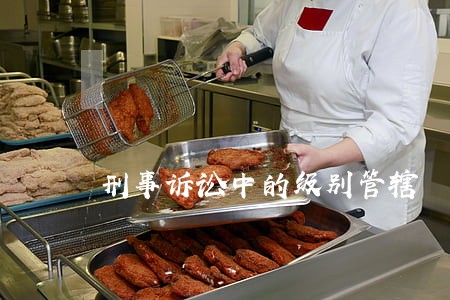 刑事诉讼中的级别管辖 刑事诉讼中的级别管辖