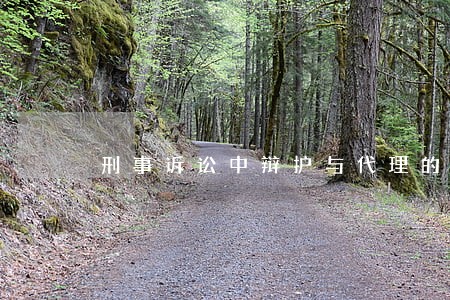 刑事诉讼中辩护与代理的区别 刑事诉讼中辩护与代理的区别