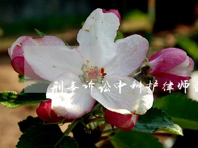 刑事诉讼中辩护律师的意见权 刑事诉讼中辩护律师的意见权