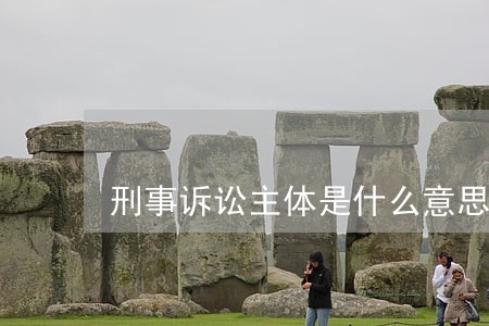 刑事诉讼主体是什么意思 刑事诉讼主体是什么意思