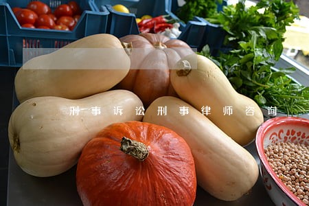 刑事诉讼刑事律师咨询 刑事诉讼刑事律师咨询