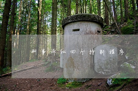 刑事诉讼四个特别程序 刑事诉讼四个特别程序