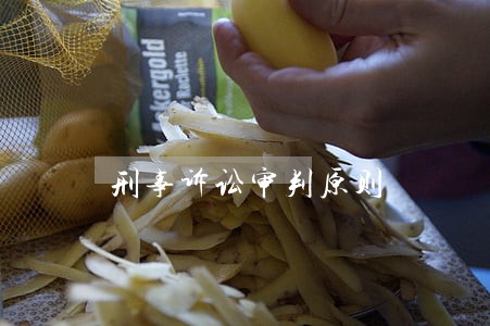 刑事诉讼审判原则 刑事诉讼审判原则