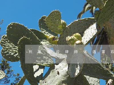 刑事诉讼律师优选雷石律所ok