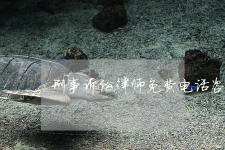 刑事诉讼律师免费电话咨询 刑事诉讼律师免费电话咨询
