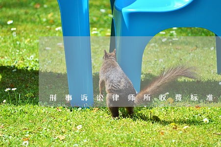 刑事诉讼律师所收费标准 刑事诉讼律师所收费标准