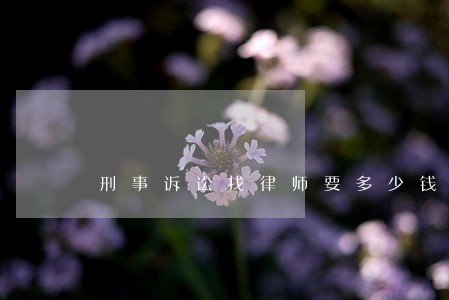 刑事诉讼找律师要多少钱 刑事诉讼找律师要多少钱