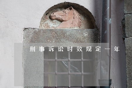 刑事诉讼时效规定一年