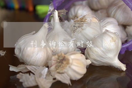 刑事诉讼有时效 刑事诉讼有时效