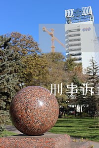 刑事诉讼案件查询