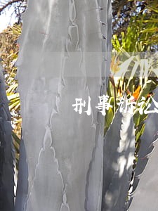 刑事诉讼案件管辖 刑事诉讼案件管辖