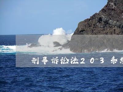 刑事诉讼法203条规定 刑事诉讼法203条规定