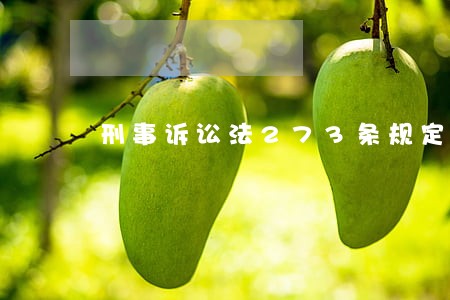 刑事诉讼法273条规定 刑事诉讼法273条规定