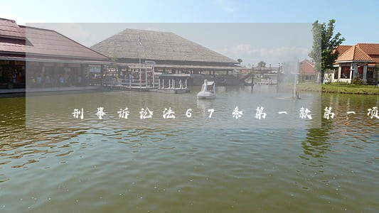 刑事诉讼法67条第一款第一项 刑事诉讼法67条第一款第一项