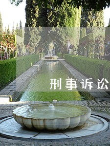 刑事诉讼法上的近亲属 刑事诉讼法上的近亲属