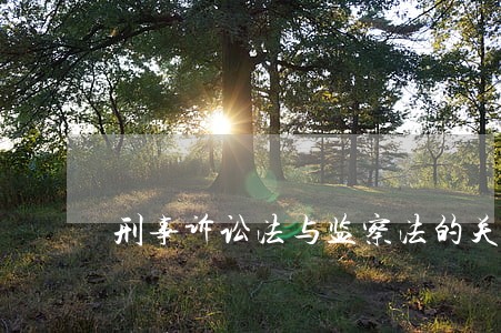刑事诉讼法与监察法的关系课件 刑事诉讼法与监察法的关系课件
