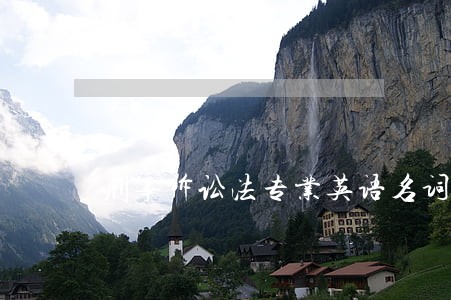 刑事诉讼法专业英语名词 刑事诉讼法专业英语名词