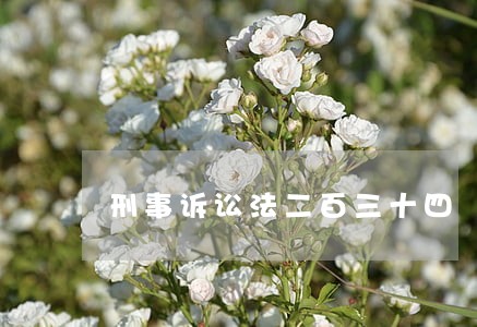 刑事诉讼法二百三十四 刑事诉讼法二百三十四