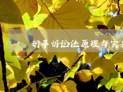 刑事诉讼法原理与实务知识点 刑事诉讼法原理与实务知识点