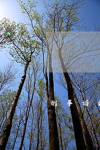 刑事诉讼法司法解释大全