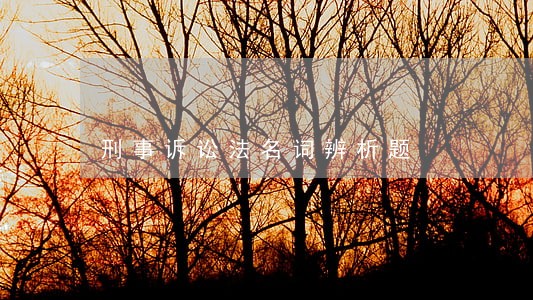 刑事诉讼法名词辨析题 刑事诉讼法名词辨析题