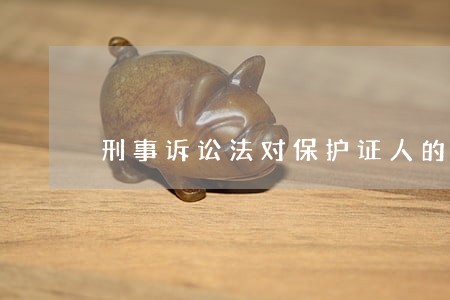 刑事诉讼法对保护证人的规定 刑事诉讼法对保护证人的规定