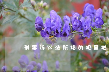 刑事诉讼法所指的犯罪地是 刑事诉讼法所指的犯罪地是